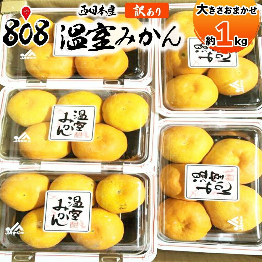 【送料無料】【西日本産】訳あり　ハウスみかん　温室みかん　大きさおまかせ　約1kg(北海道沖縄別途送...