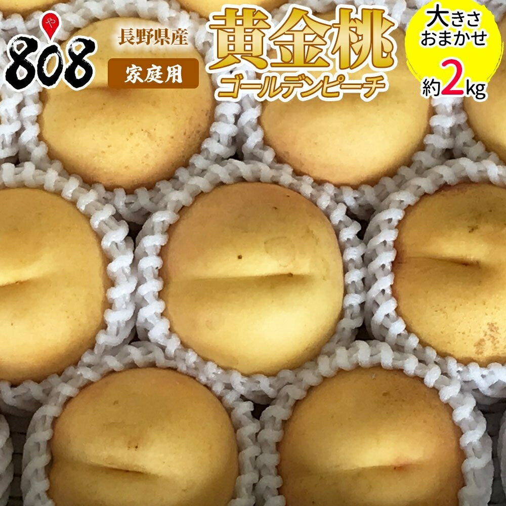 【送料無料】【長野県産】ゴールデンピーチ　黄金桃　家庭用　大きさお任せ　約2kg(北海道沖縄別途送料加算)のサムネイル