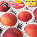 【送料無料】【長野県産】訳あり ワッサー 大きさおまかせ 約2kg(北海道沖縄別途送料加算)