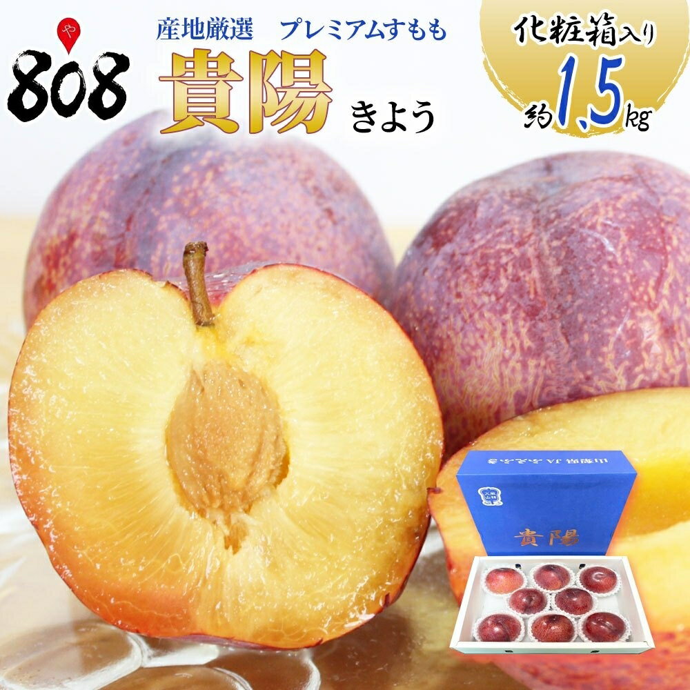 【送料無料】【産地厳選】貴陽　プレミアムすもも(プラム)　化粧箱入　大きさお任せ　約1.5kg(北海道沖縄別途送料加算)のサムネイル