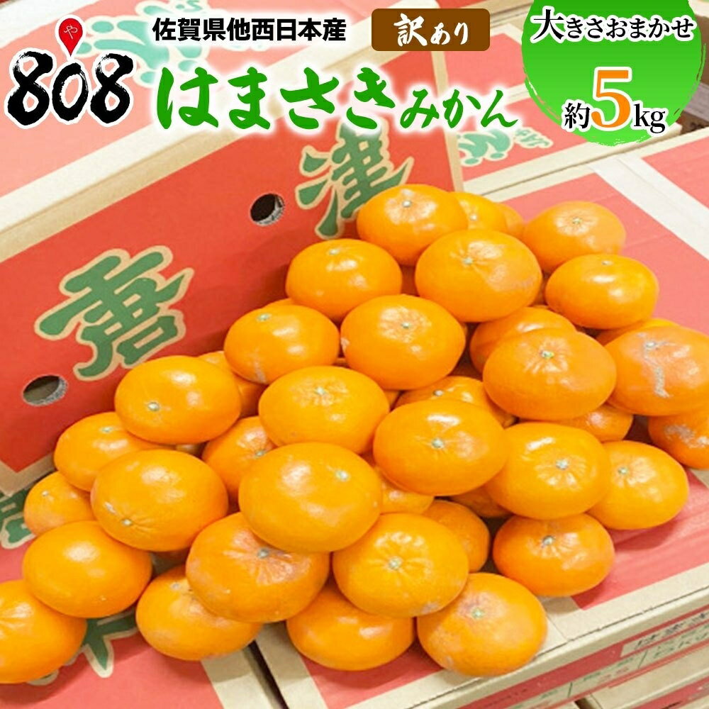 【送料無料】【佐賀県他西日本産】訳あり　はまさき　みかん　大きさおまかせ　約5kg(北海道沖縄別途送料加算)野菜宅配/母の日/父の日/敬老の日のサムネイル