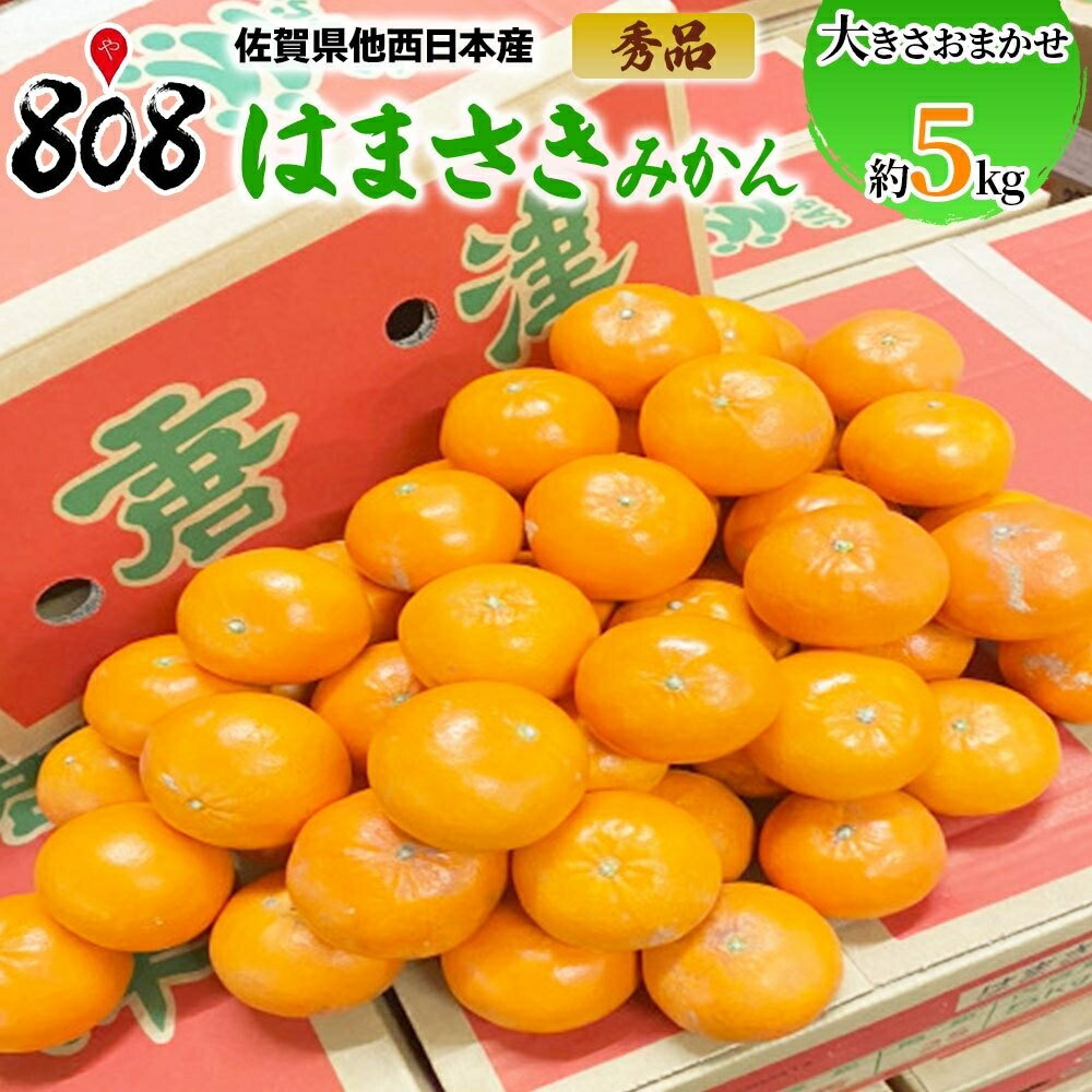 【送料無料】【佐賀県他西日本産】秀品　はまさき　みかん 大きさおまかせ 約5kg(北海道沖縄別途送料加算)のサムネイル