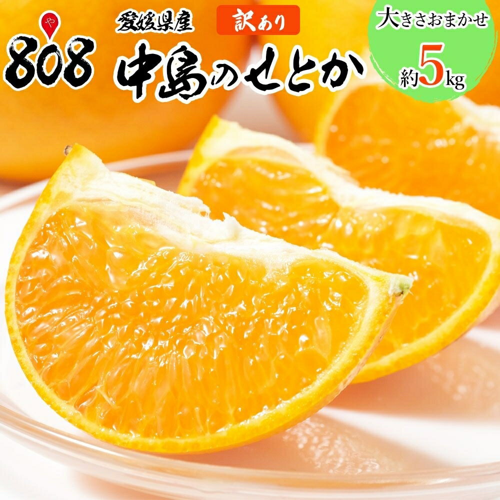 【送料無料】【愛媛県産】訳あり 中島のせとか 家庭用 大きさお任せ 約5kg(北海道沖縄別途送料加算)