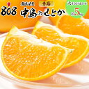 【送料無料】【愛媛県産】秀品 中島のせとか 大きさお任せ 約5kg(北海道沖縄別途送料加算)