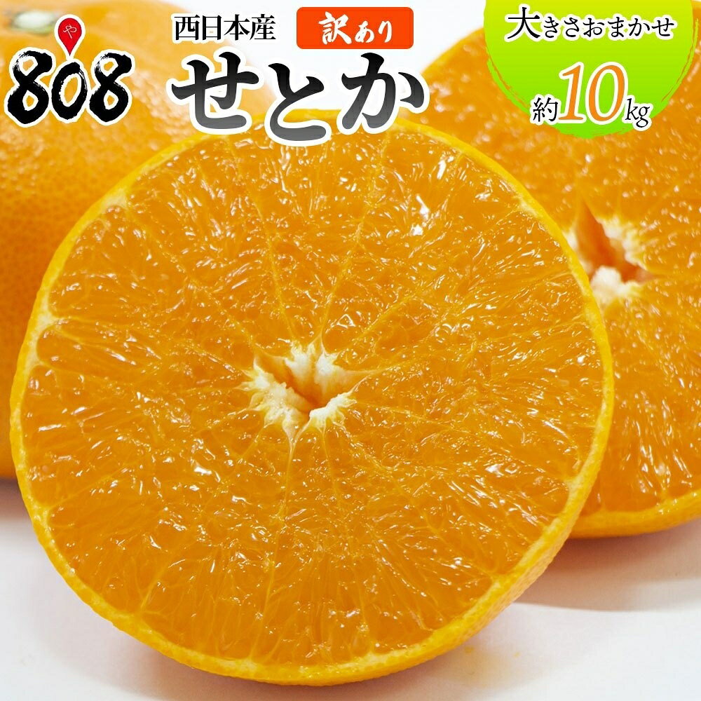 【送料無料】【西日本産】訳あり　せとか 大きさおまかせ　約10kg(北海道沖縄別途送料加算)