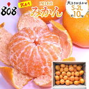 【送料無料】【西日本産】訳あり　みかん　大きさおまかせ　S〜2Lサイズ　約10kg(北海道沖縄別途送 ...