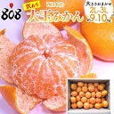 【送料無料】【西日本産】訳あり 大玉みかん 2L〜3Lサイズ 大きさおまかせ 約9〜10kg 北海道沖縄別途送料加算 