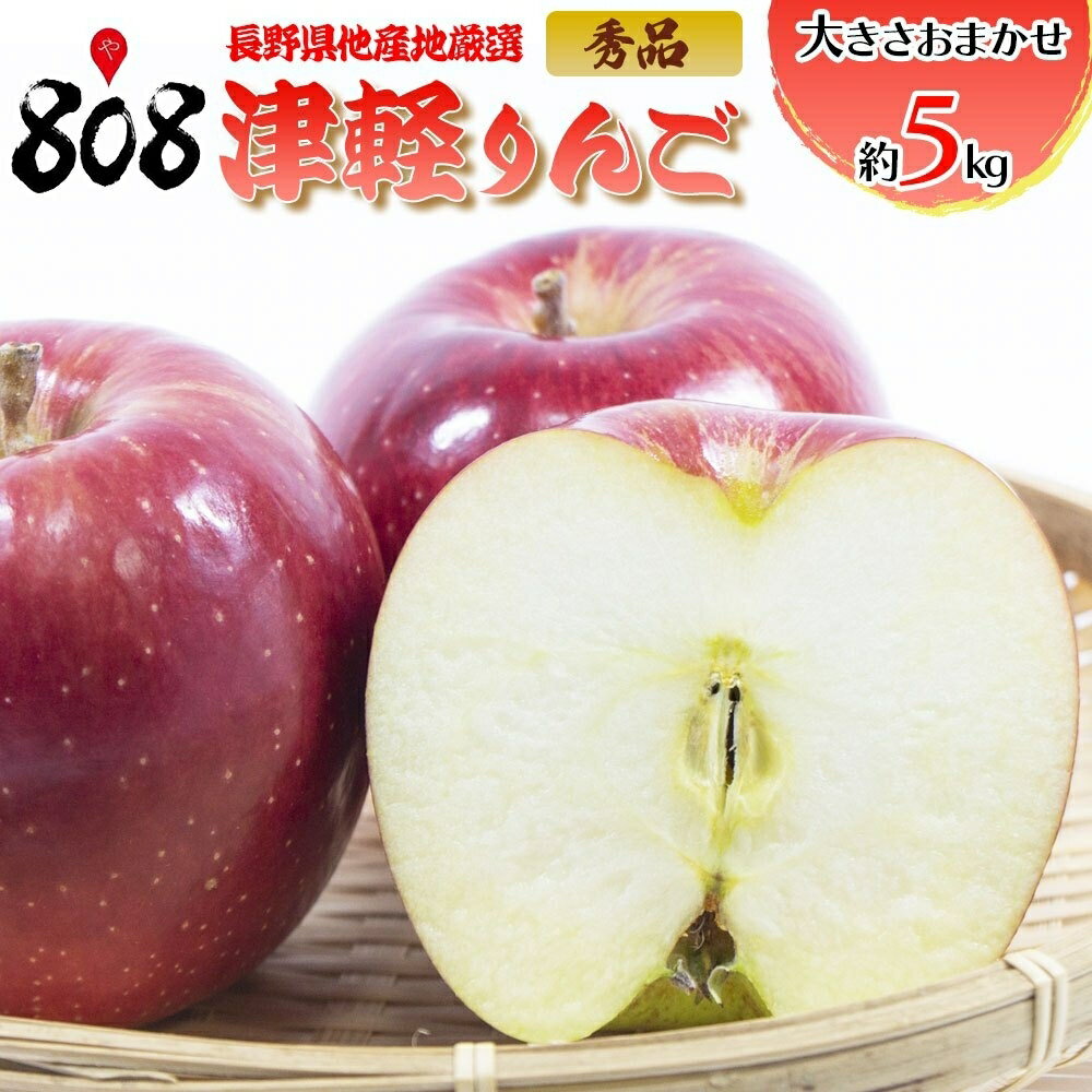 【送料無料】【長野県ほか産地厳選】秀品　津軽りんご　大きさお任せ　約5kg(北海道沖縄別途送料加算)のサムネイル
