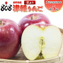 【送料無料】【長野県産】訳あり つがるりんご 大きさお任せ 約5kg(北海道沖縄別途送料加算)