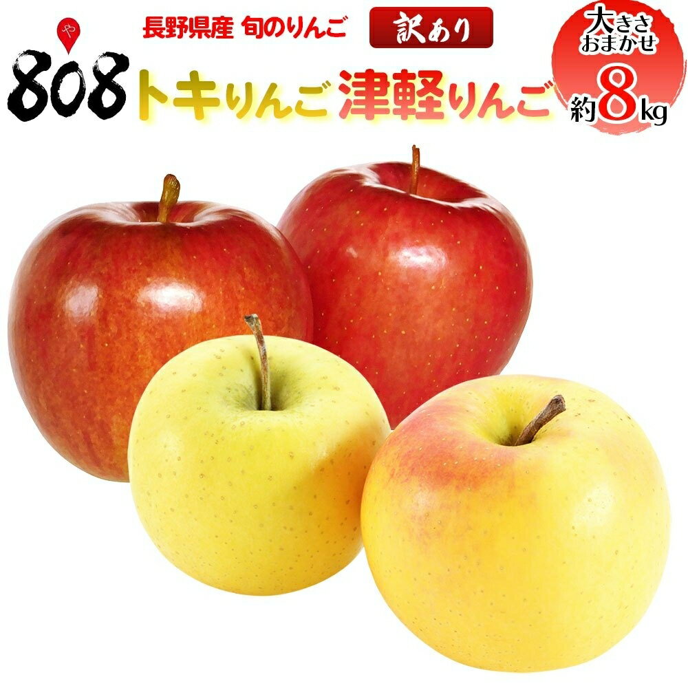 【送料無料】【長野県産】訳あり　トキりんご　津軽りんご　他　旬のリンゴ　色　大きさお任せ　約8kg(北海道沖縄別途送料加算)のサムネイル