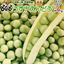 【送料無料】【和歌山県/長崎県産】秀品　うすいえんどう　約4kg(北海道沖縄別途送料加算)