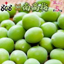 【送料無料】【和歌山県産】紀州特撰 南高梅 3L以上 約5kg(北海道沖縄別途送料加算)