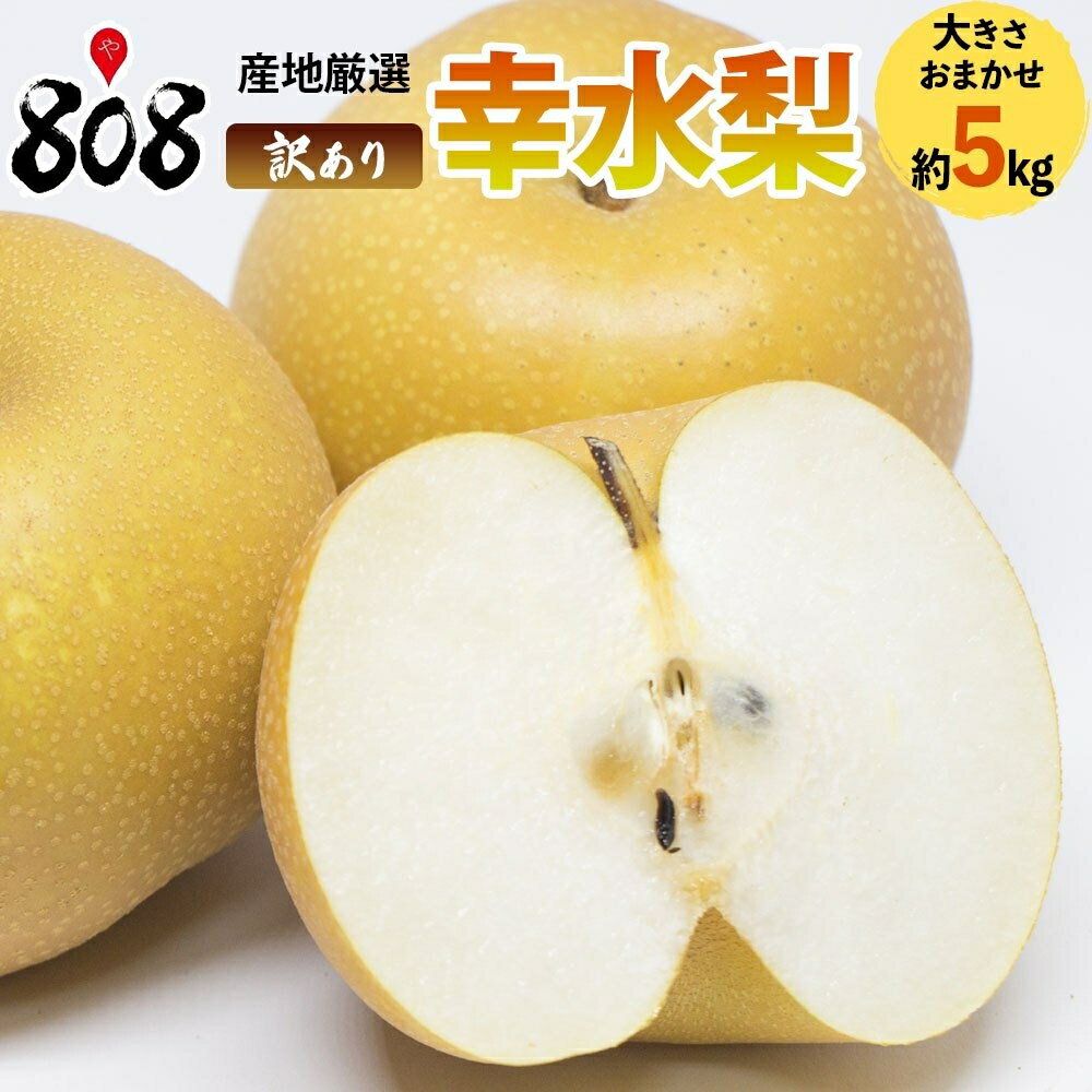 【送料無料】【産地厳選】訳あり　幸水梨　大きさおまかせ　約5kg(北海道沖縄別途送料加算)のサムネイル