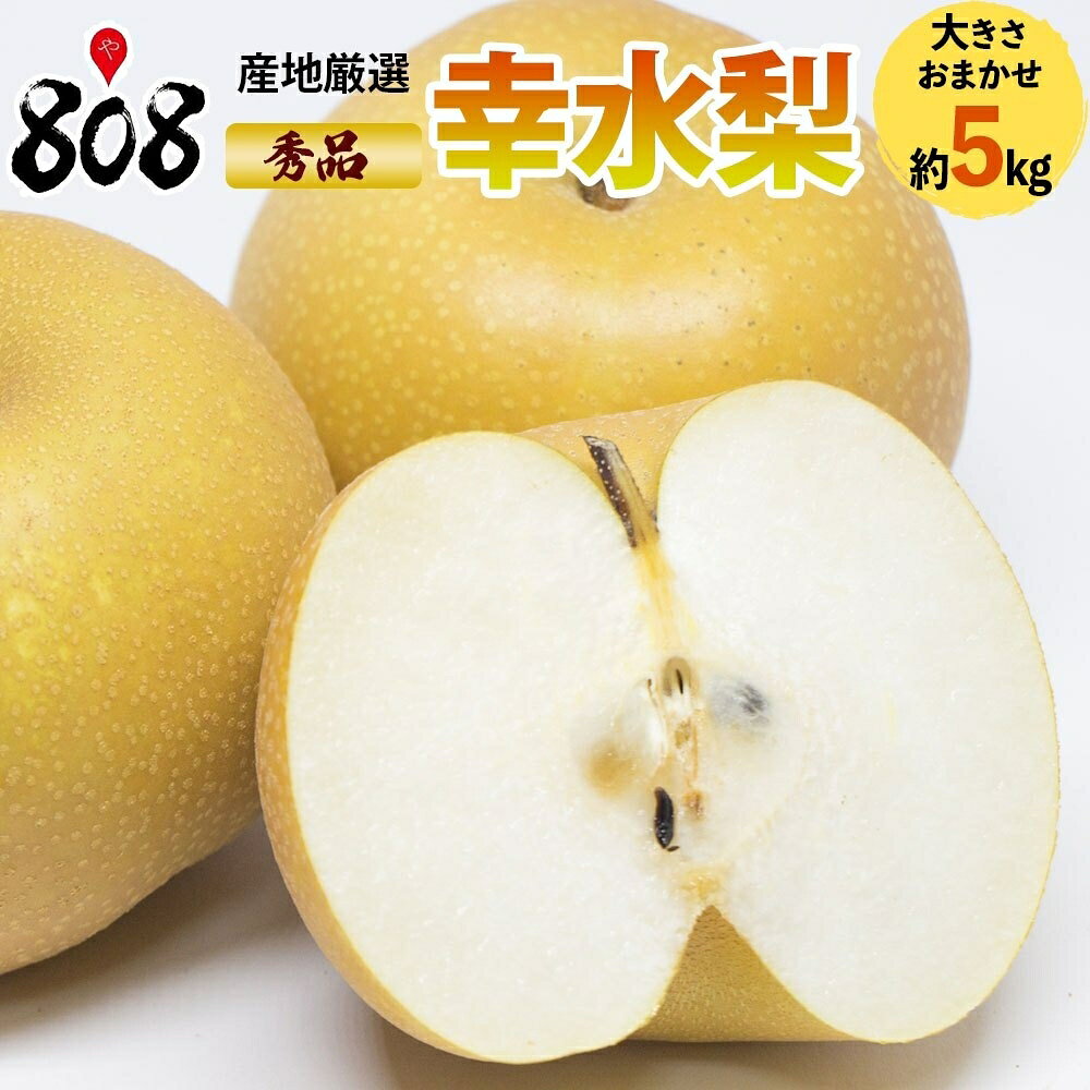 商品画像2