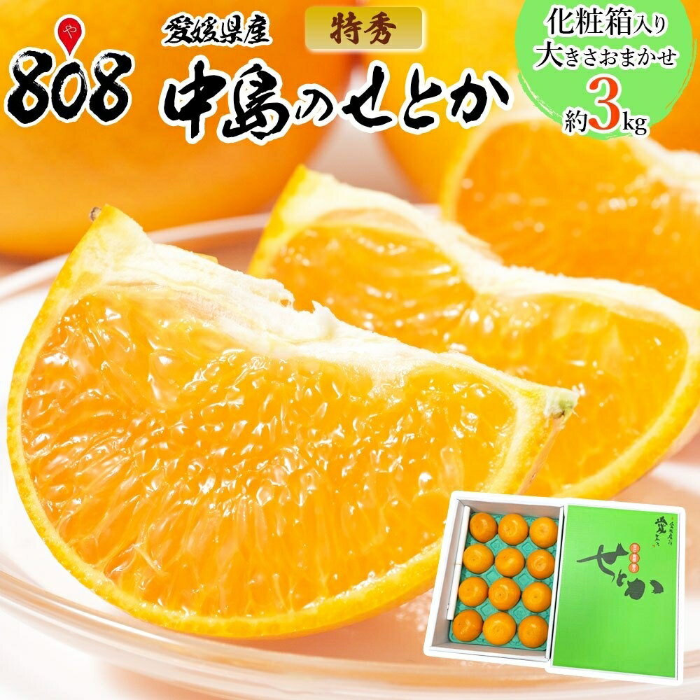 【送料無料】【愛媛県産】特秀 中島のせとか 化粧箱入 大きさお任せ 約3kg(北海道沖縄別途送料加算)