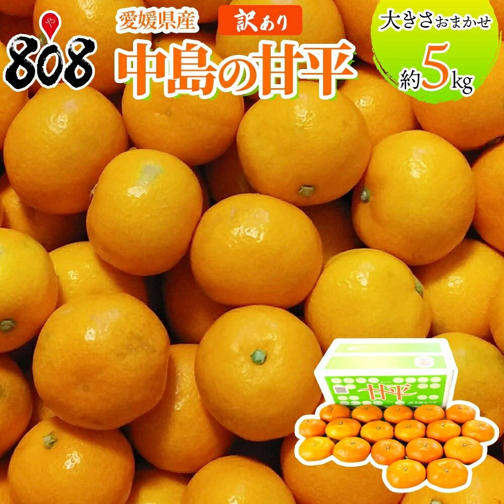 【送料無料】【愛媛県産】訳あり 中島の甘平 大きさお任せ 約1kg 約2kg 約3kg 約4kg 約5kg(北海道沖縄別途送料加算)