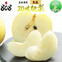【送料無料】【産地厳選】秀品 20世紀梨 大きさおまかせ 約5kg(北海道沖縄別途送料加算)
