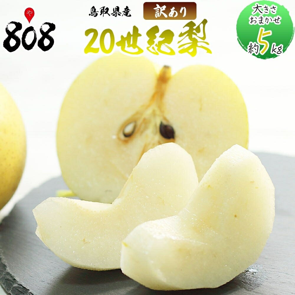 【送料無料】【鳥取県産】 訳あり　20世紀梨　大きさおまかせ　約5kg(北海道沖縄別途送料加算)のサムネイル