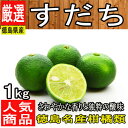 【徳島県産】すだち L〜3L 1箱 1kg チルド便送料無料 すだちつくね/すだちそうめん/皮/すだち果汁/すだち酢