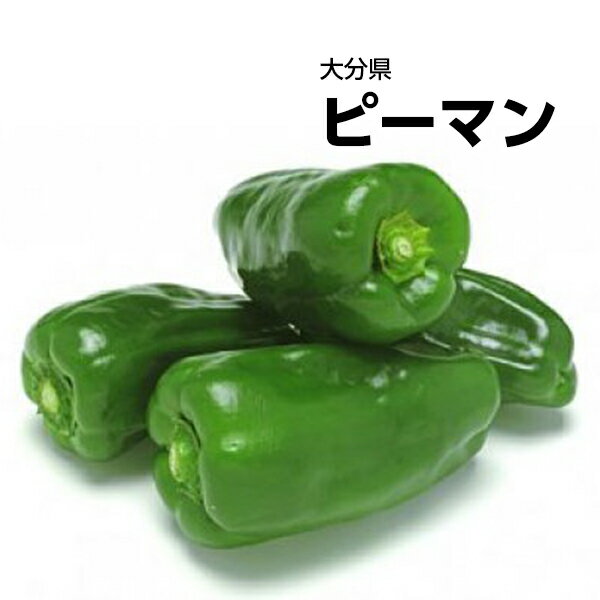 【送料別】【西日本産】ピーマン　1パック　約100g【野菜詰め合わせセットと同梱で送料無料】【送料は..