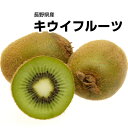 【長野県産】訳有り 国産キウイフルーツ大きさお任せ!!1kg...