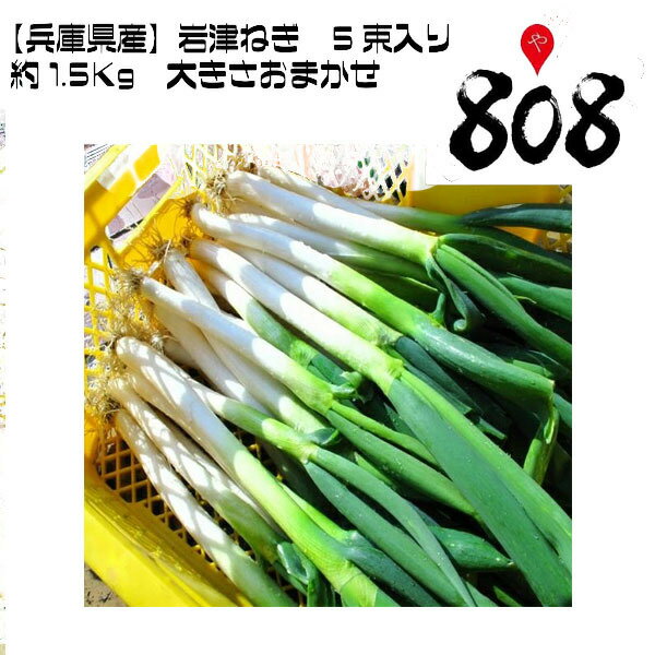 【送料無料】【兵庫県産】岩津ねぎ 大きさおまかせ 約1.5kg　5束入り(北海道沖縄別途送料加算)のサムネイル