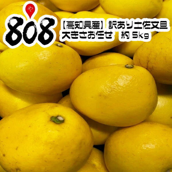 【送料無料】【高知県産】訳あり　土佐文旦　大きさお任せ　約5kg(北海道沖縄別途送料加算)のサムネイル