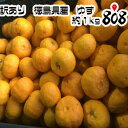 【送料別】【徳島県産】...