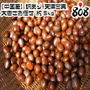 【送料無料】【中国産】訳あり 天津甘栗 大きさお任せ 約5kg(北海道沖縄別途送料加算)