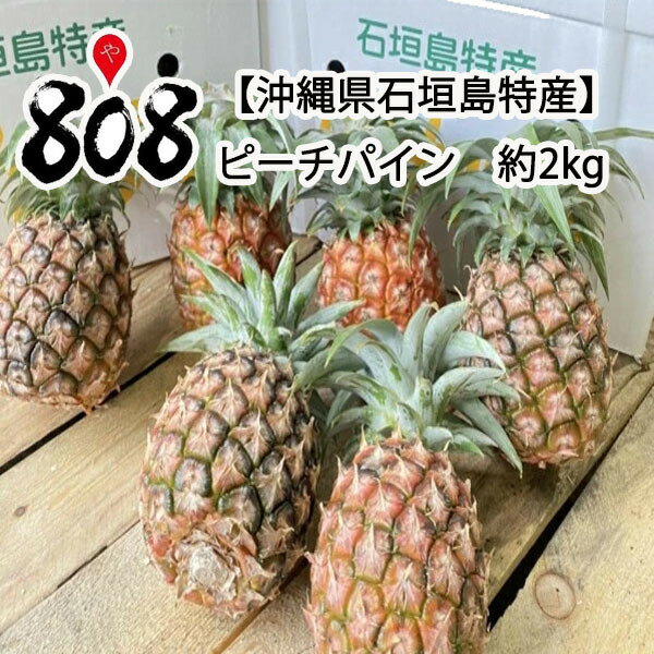 【送料無料】【沖縄県石垣島特産】ピーチパイン　ピーチパイナップル　完熟　3玉前後　約2kg　大きさお任せ(北海道沖縄別途送料加算)のサムネイル