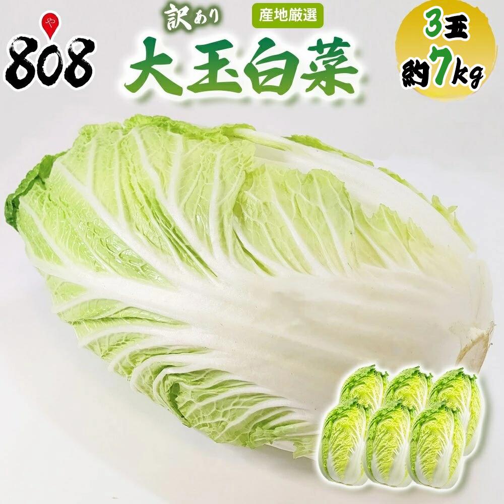 【送料無料】【西日本産】訳あり　大玉　白菜　1箱　6玉入り　約15kg(北海道沖縄別途送料加算)のサムネイル