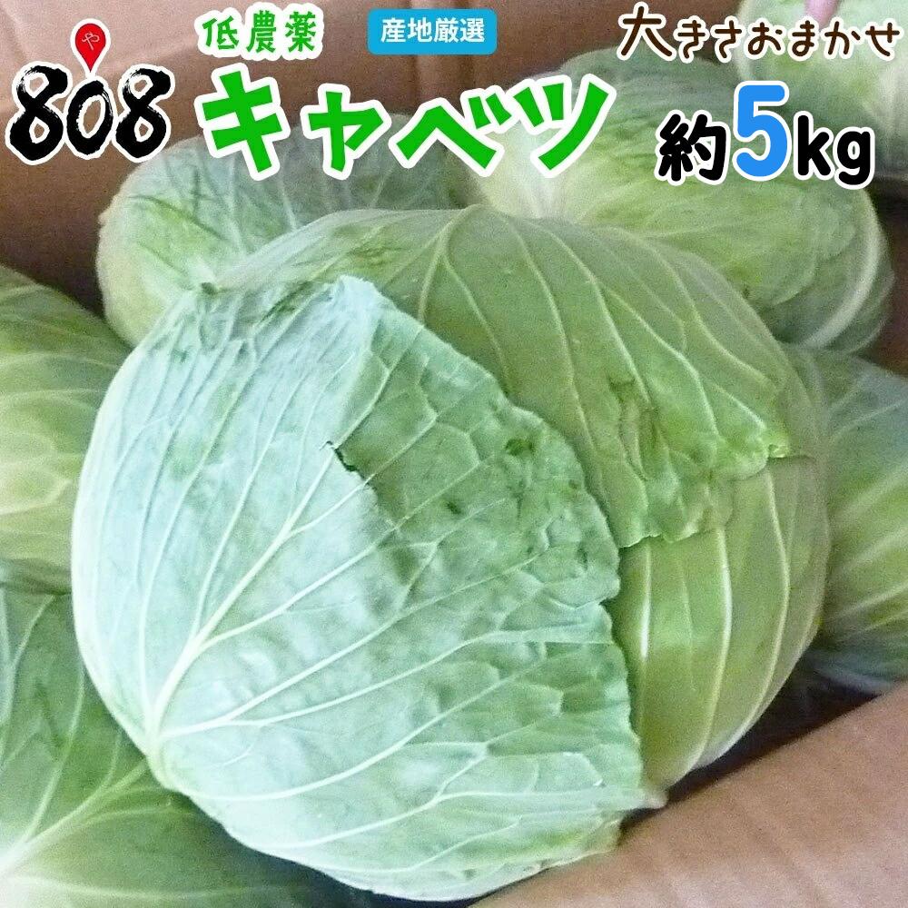 【送料無料】【産地厳選】低農薬 大玉キャベツ 1箱 L〜3Lサイズ 約10kg以上(北海道沖縄別途送料加算)のサムネイル