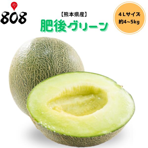 ̵ۡڷܸ奰꡼ 4L 4~5kg (̳ƻû)///渵/Τ/åԥ...