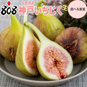 【送料無料】【兵庫県産】神戸いちじく 生 大きさお任せ 家庭用 約500g 約1kg 約2kg 約3kg(北海道沖縄別途送料加算)