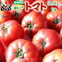 【送料無料】【産地厳選】超ビッグサイズ トマト 1箱 12~16玉入(北海道沖縄別途送料加算)