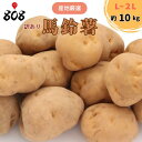【送料無料】【産地厳選】馬鈴薯 じゃがいも L〜2Lサイズ 1箱 約10kg(北海道沖縄別途送料加算)