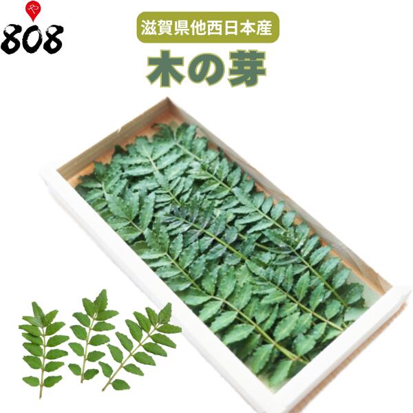 【送料別】【滋賀県他西日本産】木の芽 山椒の若芽 1パック【野菜詰め合わせセットと同梱で送料無料】【送料は注文後に個数によって変動】