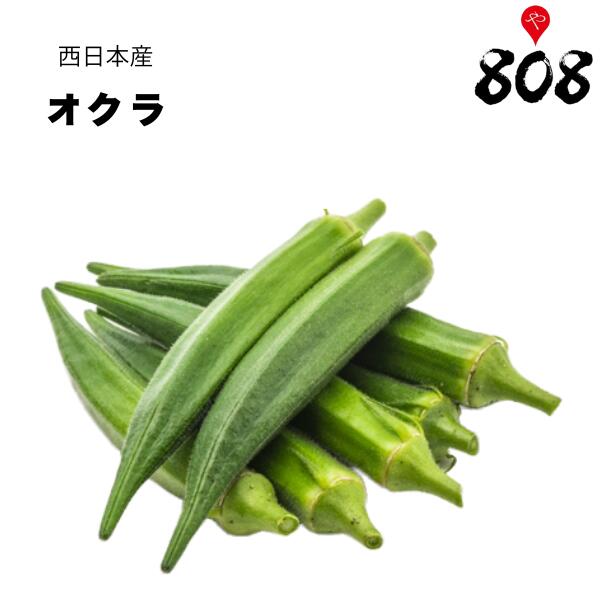 【西日本産】オクラ 1パック 約100g【野菜詰め合わせセットと同梱で送料無料】【送料別】野菜宅配/母の日/父の日/敬老の日