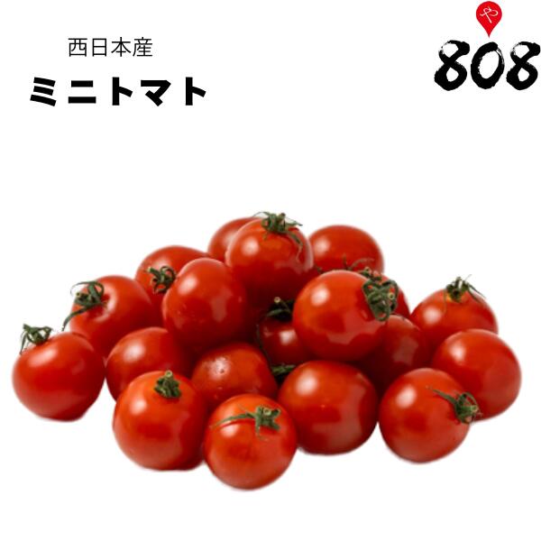 ̡ܻۡۥߥ˥ȥޥȡ1ѥå200gڵͤ碌åȤƱ̵ۡʸ˸Ŀˤäư