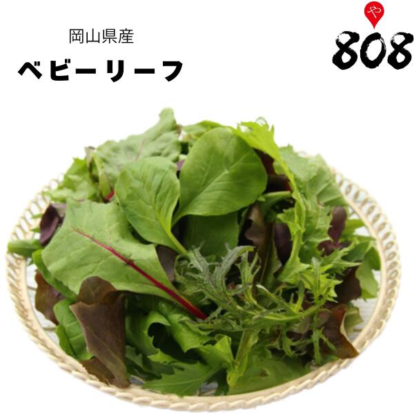 【送料別】【岡山県産】ベビーリーフ　1パック【野菜詰め合わせセットと同梱で送料無料】【送料は注文後に個数によって変動】