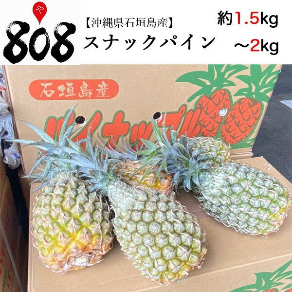 【送料無料】【沖縄県石垣島産】スナックパイン　約1.5kg〜2kg(北海道沖縄別途送料加算)母の日/ジュース/高糖度/スムージー/ジュース/ダイエット/食品ロス/ピクニック/BBQ/お中元/御中元/残暑見舞い/暑中見舞い/敬老の日