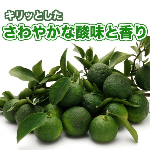 【送料無料】【西日本産】青ゆず 約1kg(北海道沖縄別途送料加算)