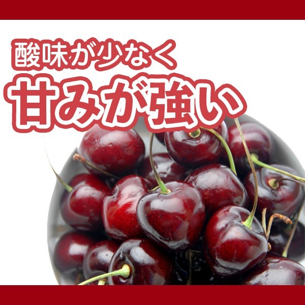 【送料無料】【カリフォルニア産】アメリカンチェリー　不揃い大きさおまかせ 約1k...