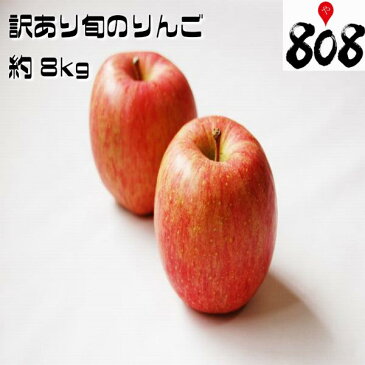 【あす楽】【送料無料】【長野県産】訳あり　トキりんご 津軽りんご　他　旬のリンゴ　色　大きさおまかせ　約8kg(北海道沖縄別途送料加算)林檎/白りんご/赤りんご/りんごジュース/リンゴジュース/りんご酢/リンゴ酢/スムージ/業務用/訳有/訳あり/訳アリ/ワケあり