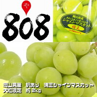 【岡山県産】訳あり　晴王(はれおう)シャインマスカット　大きさおまかせ　約2kg(北海道沖縄別途送料加算)産地直送仕入れ/ぶどう/葡萄/ブドウ/高糖度/種無し/高級フルーツ/残暑見舞い/中元/訳有/訳あり/訳アリ/ワケあり/