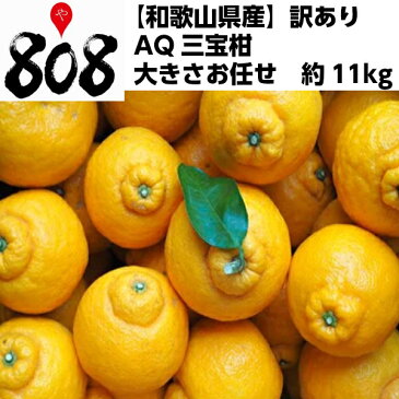 【送料無料】【和歌山県産】訳あり　AQ三宝柑 大きさお任せ 約11kg(北海道沖縄別途送料加算)柑橘/みかん/ミカン/蜜柑/訳有/訳あり/訳アリ/ワケあり/高品質/ギフト/お歳暮/正月/お正月/ジュース/スムージー/ジャム/高糖度/ギフト/熨斗/ラッピング/スイーツ/さんぼうかん