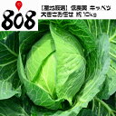 【送料無料】【産地厳選】低農薬 キャベツ 1箱 大きさお任せ...