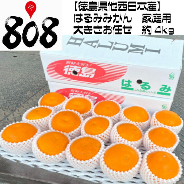 【送料無料】【徳島県他西日本産】はるみみかん　大きさお任せ　家庭用　約4kg(北海道沖縄別途送料加算)