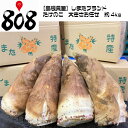 しまたブランドのたけのこ　約4kg(北海道沖縄別途送料加算)