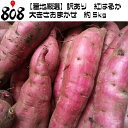 【送料無料】【産地厳選】訳あり　紅はるか　大きさおまかせ　約5kg(北海道沖縄別途送料加算)べにはるか/焼き芋/煮物/スイートポテト/芋菓子/スイーツ/お菓子/母の日/父の日/ワケあり/訳アリ/敬老の日/秋の味覚/薩摩芋/焼き芋/訳アリ/訳有/ワケあり/さつまいも/サツマイモ/